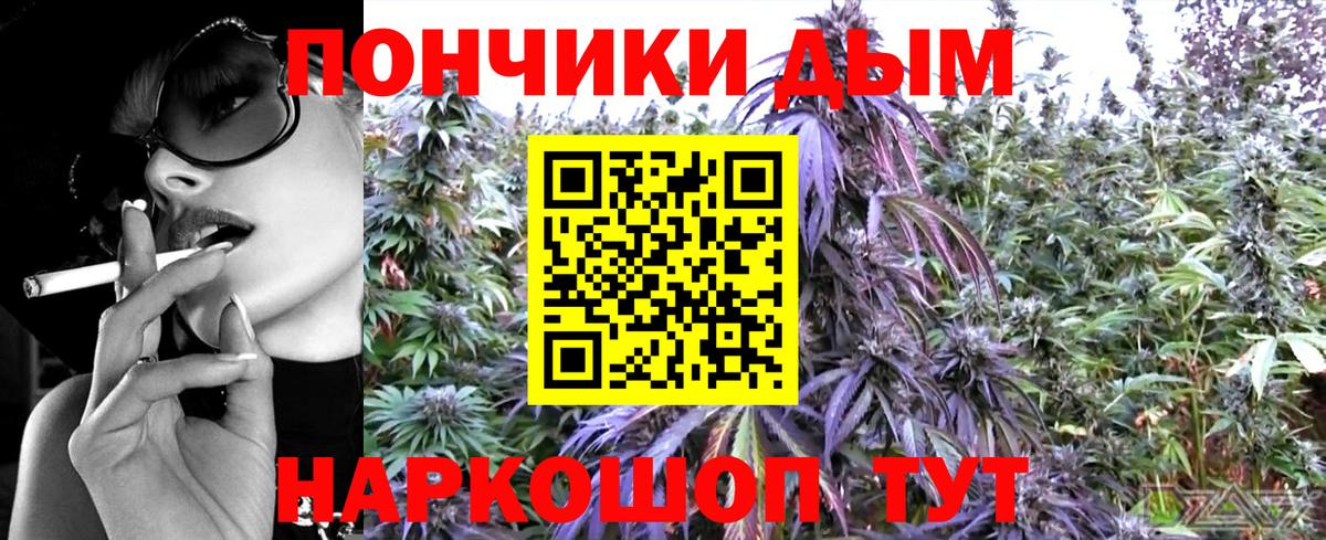 Шишки марихуана планчик Сочи